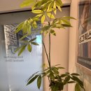 성산필내과의원 이미지