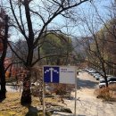 영원한 식당 | 연말 전시 추천｜루이즈 부르주아 : 덧없고 영원한 전시 관람 후기