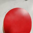 일구팔육