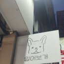 입어보개