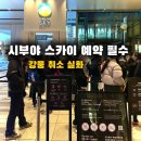 11545-10-14-12 | 도쿄 시부야 스카이 예약 방법 | 강풍으로 취소·환불된 실제 후기 (12월 겨울 방문 주의점)