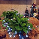 해피데이미용실 이미지