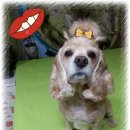 서진동물병원 이미지