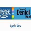 트리덴탈 이미지