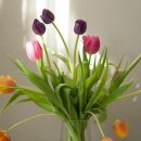 소나무유치원 이미지