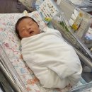 윤석민 | [출산후기] 광주 더블유여성병원 산후조리원 제왕절개 6~8일차