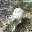 문배농장 이미지