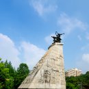 나리꽃 | [단양]소금정공원 장미터널에서 만천하스카이워크까지
