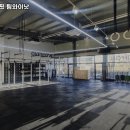 팀 와이낫 이미지