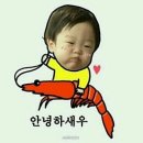 버블샤인 이미지
