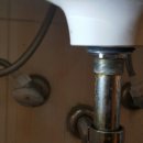 수원-0437 이미지