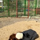 보담농장 이미지