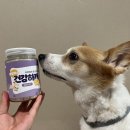 건강하개 먹개 이미지