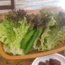 아구네냉면 이미지