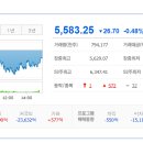 대성하이텍태양광발전소 | 2026/03/12:상한가종목/ 상승률 상위종목/ 오늘의 주요 상승테마