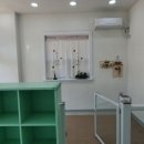 디바인독(DIVINE DOG) 이미지