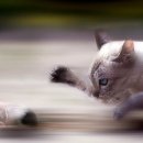 나잡아바라 이미지