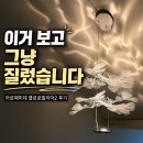 필리아 | 보자마자 질렀습니다 (아르떼미데 클로로필리아2 후기)