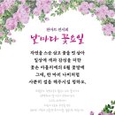 요일