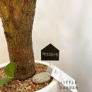 송내테크노밸리 이미지