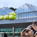 [수성구청] 생각을 담는 정원 이미지