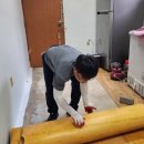 그루터기 이미지