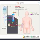 추정사구체여과율 [Estimated Glomerular Filtration Rate(eGFR)] 이미지