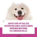 이건동물병원 이미지
