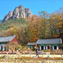 청송 Daum카페