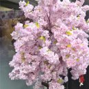 홀릭 | 부산 동래 야키토리 맛집 | 꼬치홀릭 솔직 방문 후기 🍢