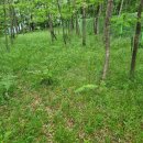 울산 매곡동 생활유적 이미지