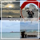 화북떡집 | 제주도 뚜벅이 여행기 5일차 [이호테우해수욕장/ 우진해장국/ 동문시장 쇼핑목록/ 제주 마음샌드 후기]