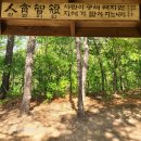 봉대미산 이미지