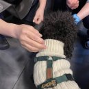 육회한판 장어한상 이미지