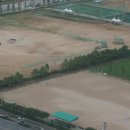 백운포체육공원(마사구장) 이미지