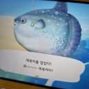 구이구이 생고기 네이버블로그