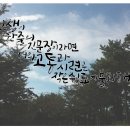 너의쉼표