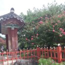 선교장 앞 이미지