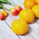 승연농장 이미지