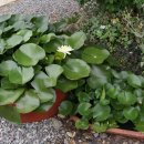 천지가든 이미지