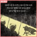 돼지왕국 이미지