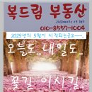 드림부동산공인중개사사무소 이미지