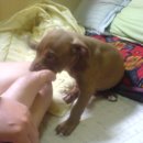 태인농장 이미지