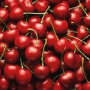 체리마트 이미지