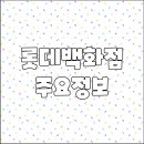네이처델리 해인물류시스팀점 | 롯데백화점 영등포점 영업시간 휴무일 주차요금 층별안내 전화번호