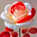 Woman in Love - Lucy Thomas/ Said I Loved You/이순길 - 나니미/고은성 - 그 옛날처럼/서영은 - 이미지