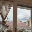 플로라민박 이미지