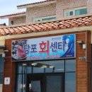 당포회센타