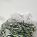 화랑마트 | 화랑농원 못난이청양고추 1KG 땡초 후기