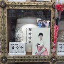 강화 마루 흠집(26.5.11./3043) 이미지
